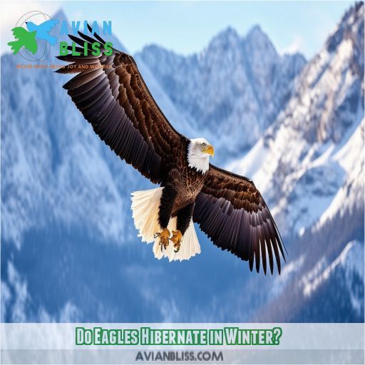 Do Eagles Hibernate in Winter