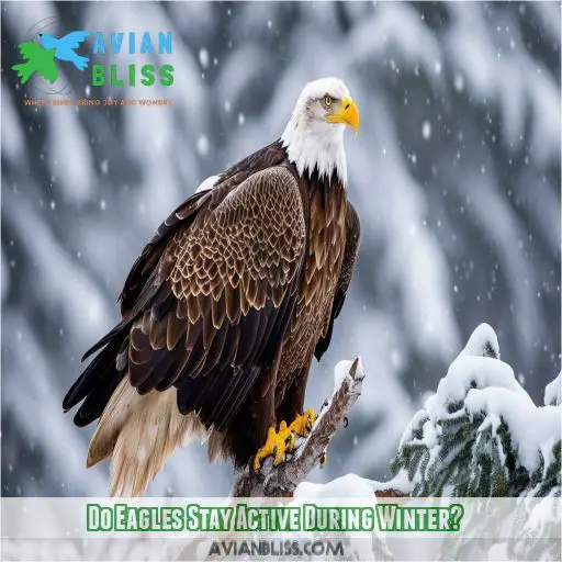 Do Eagles Stay Active During Winter