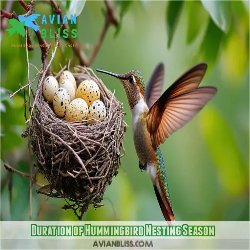 Duration of Hummingbird Nesting Season