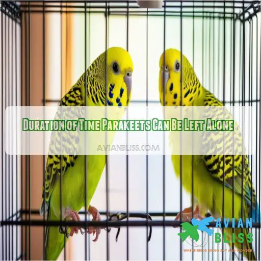 Duration of Time Parakeets Can Be Left Alone