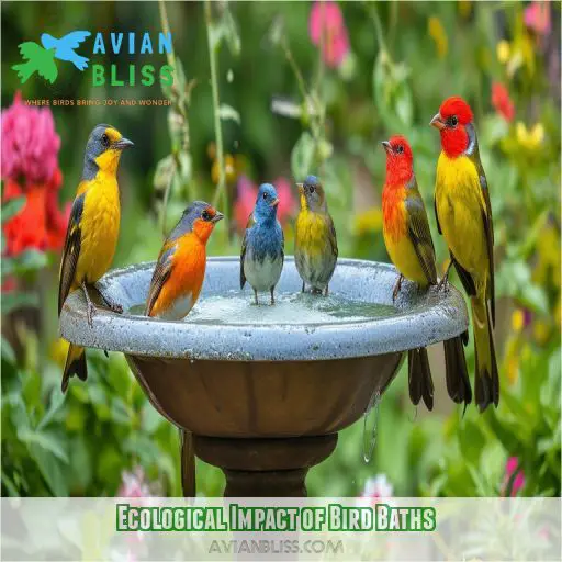 Ecological Impact of Bird Baths