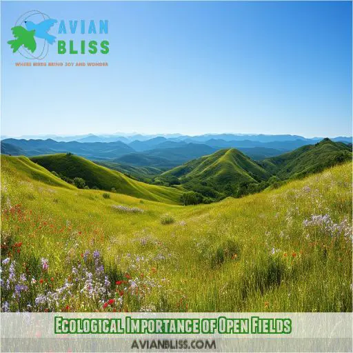 Ecological Importance of Open Fields