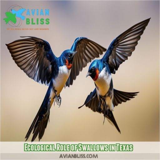 Ecological Role of Swallows in Texas