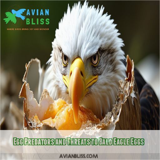 Egg Predators and Threats to Bald Eagle Eggs