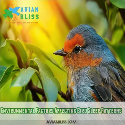 Environmental Factors Affecting Bird Sleep Patterns