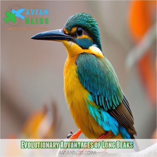 Evolutionary Advantages of Long Beaks