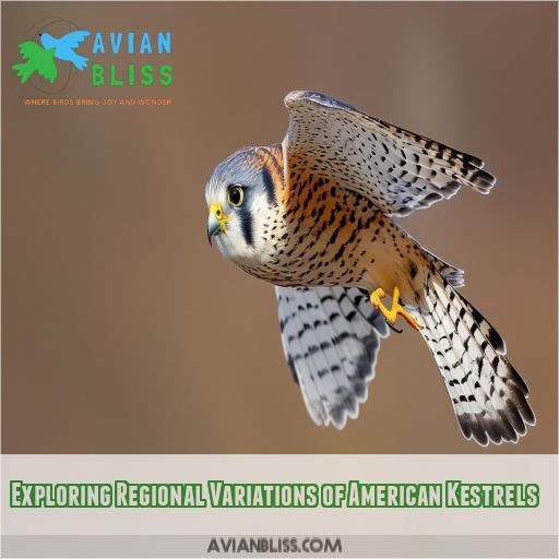 Exploring Regional Variations of American Kestrels