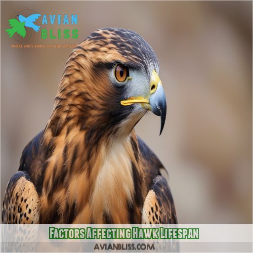 Factors Affecting Hawk Lifespan