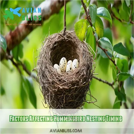 Factors Affecting Hummingbird Nesting Timing