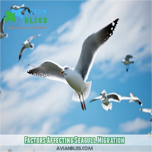 Factors Affecting Seagull Migration