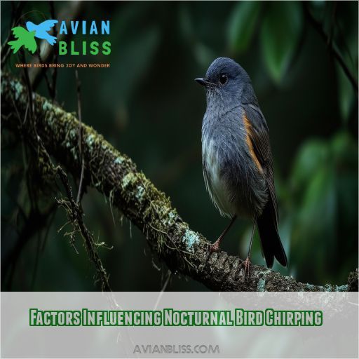 Factors Influencing Nocturnal Bird Chirping