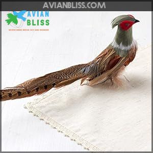 Factory Direct Craft Artificial Pheasant