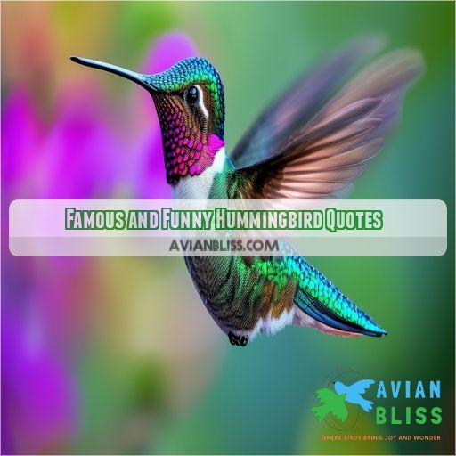 Famous and Funny Hummingbird Quotes