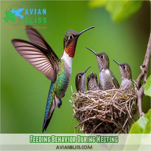 Feeding Behavior During Nesting