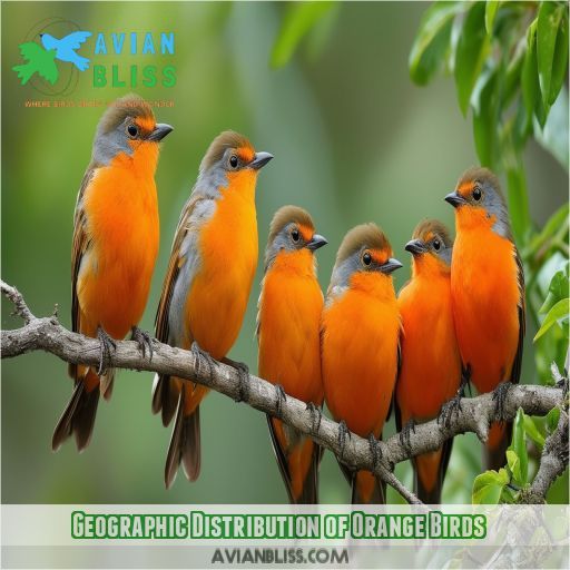 Geographic Distribution of Orange Birds