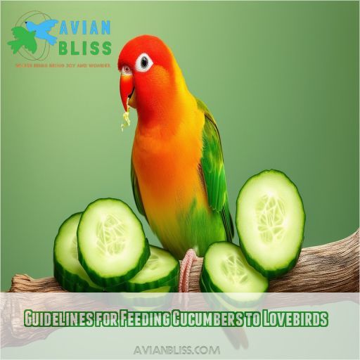 Guidelines for Feeding Cucumbers to Lovebirds