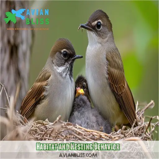 Habitat and Nesting Behavior