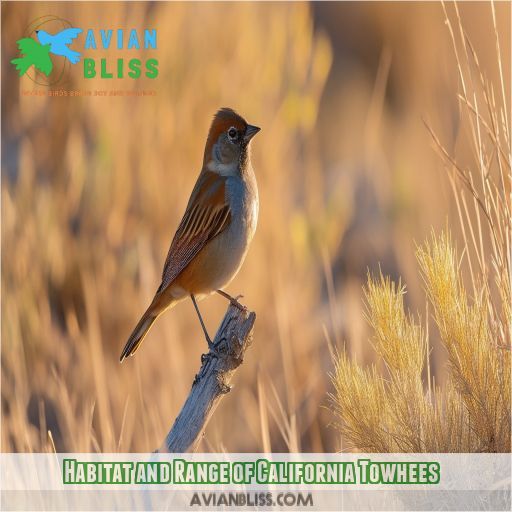 Habitat and Range of California Towhees