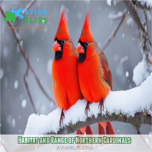 Habitat and Range of Northern Cardinals