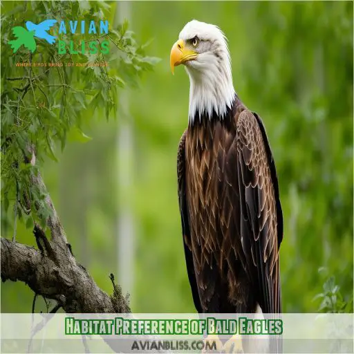 Habitat Preference of Bald Eagles