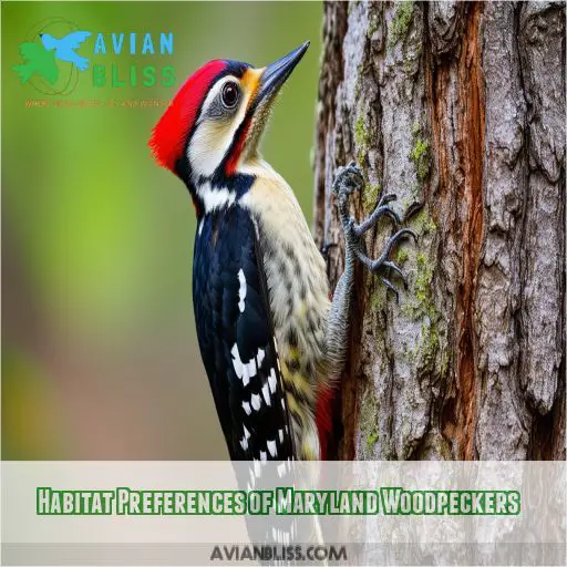 Habitat Preferences of Maryland Woodpeckers