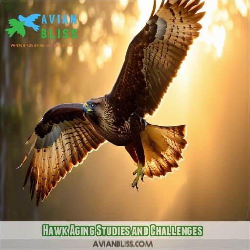 Hawk Aging Studies and Challenges