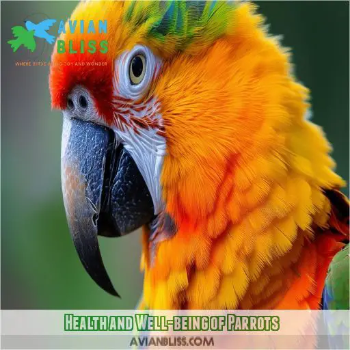 Health and Well-being of Parrots