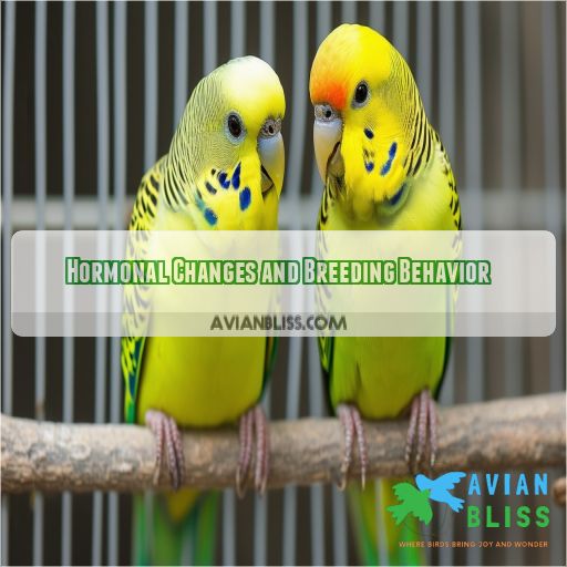 Hormonal Changes and Breeding Behavior