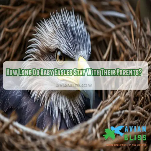 How Long Do Baby Eagles Stay With Their Parents