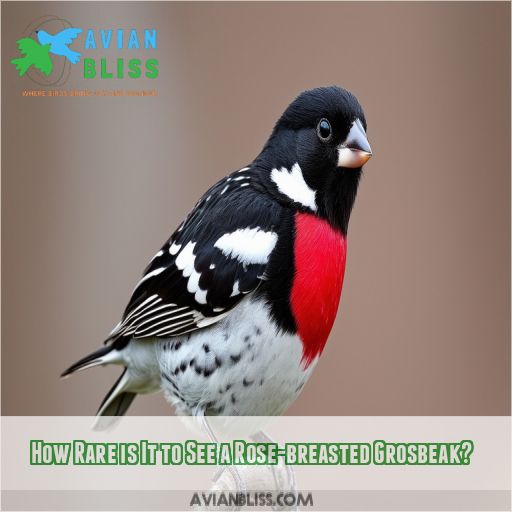 How Rare is It to See a Rose-breasted Grosbeak