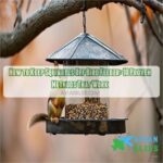 how to keep squirrels off bird feeder