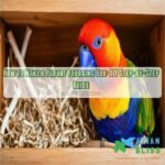 How to Make a Parrot Foraging Box