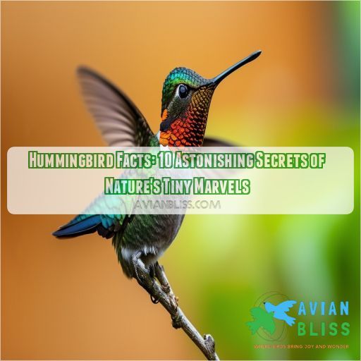 hummingbird facts information