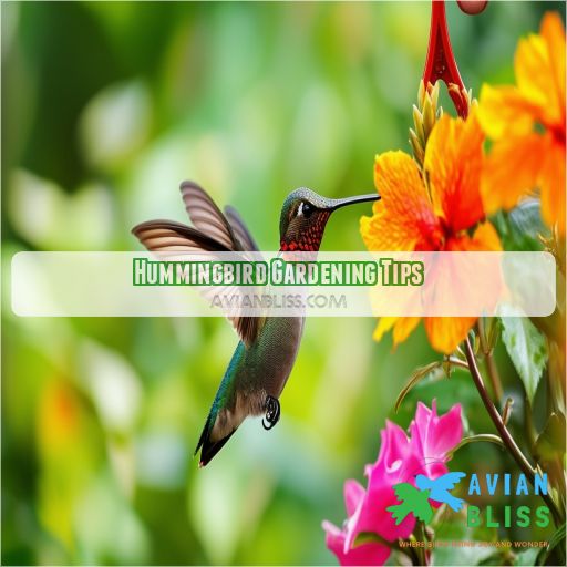 Hummingbird Gardening Tips
