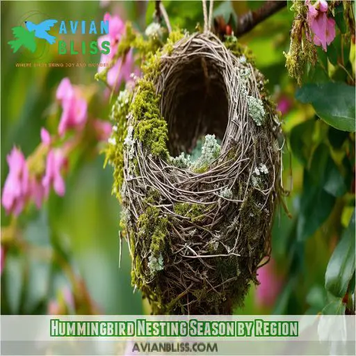 Hummingbird Nesting Season by Region