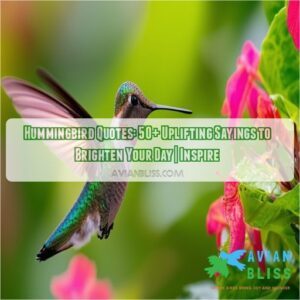 hummingbird quotes