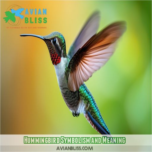 Hummingbird Symbolism and Meaning