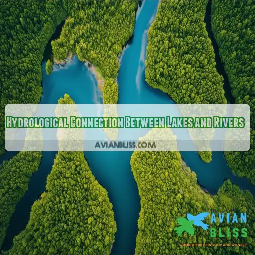 Hydrological Connection Between Lakes and Rivers