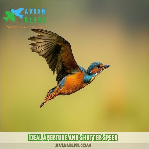 Ideal Aperture and Shutter Speed