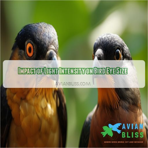 Impact of Light Intensity on Bird Eye Size