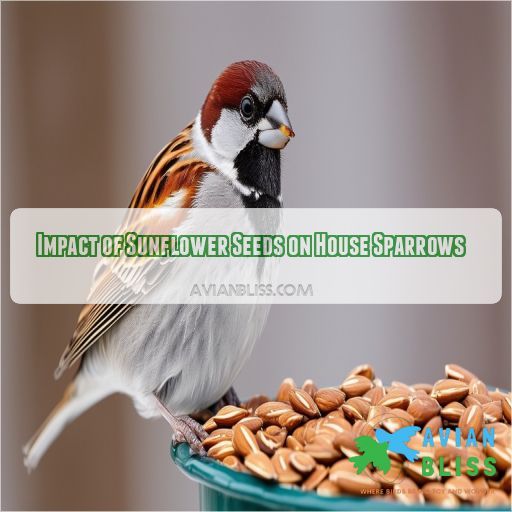 Impact of Sunflower Seeds on House Sparrows