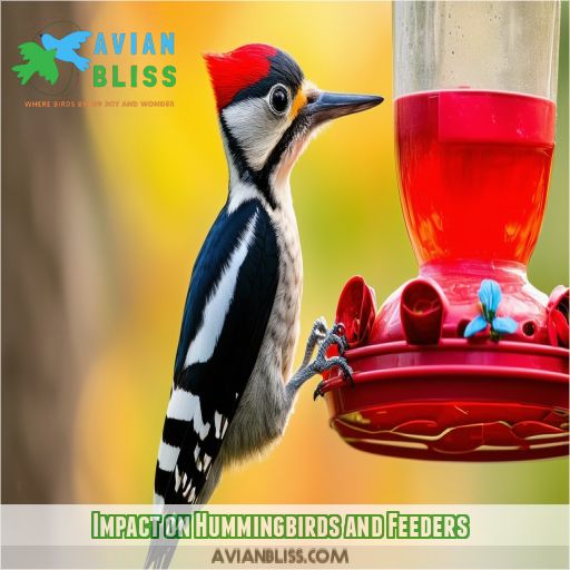 Impact on Hummingbirds and Feeders