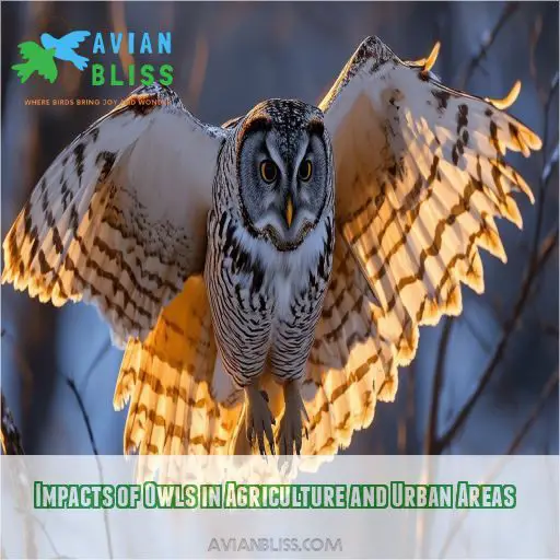 Impacts of Owls in Agriculture and Urban Areas