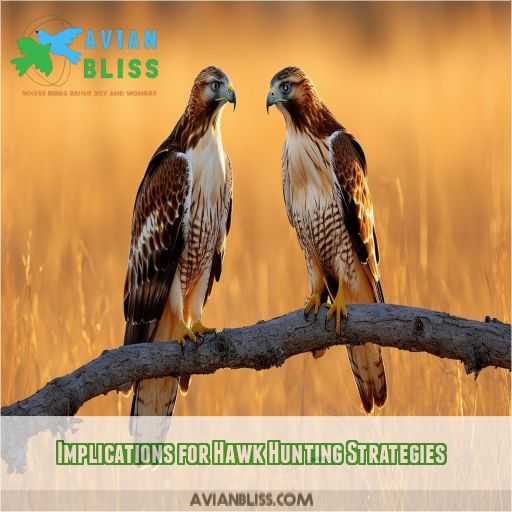 Implications for Hawk Hunting Strategies