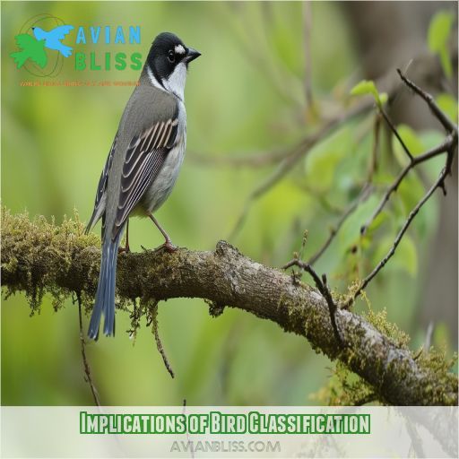 Implications of Bird Classification