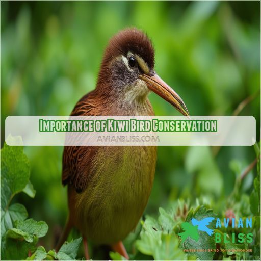Importance of Kiwi Bird Conservation