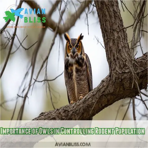 Importance of Owls in Controlling Rodent Population