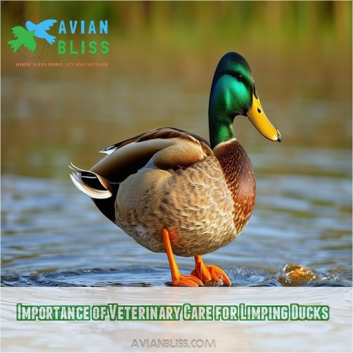 Importance of Veterinary Care for Limping Ducks