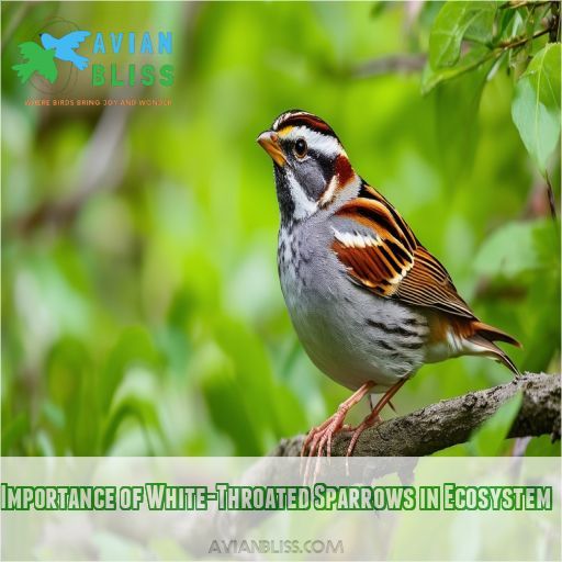 Importance of White-Throated Sparrows in Ecosystem