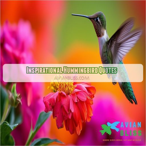 Inspirational Hummingbird Quotes